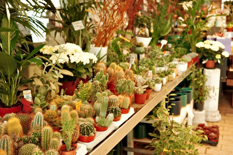 Interior de una tienda de control de plagas y jardinería con producto en anaquel
